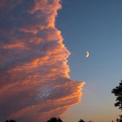 青鸟传说破解版下载