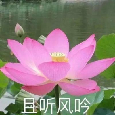 深井app官方下载