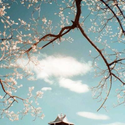 盛世传说手游下载