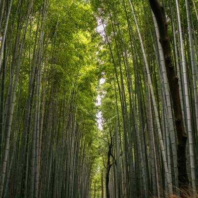 热血群雄传官方下载
